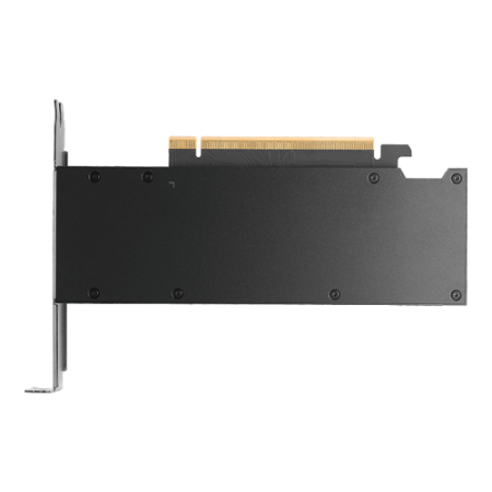 Tarjeta grafica pny rtx pro 2000 blackwell 16gb gddr7 -  4x mini dp pci express 5.0