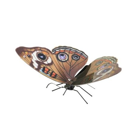 MAQUETA 3D METAL FASCINATIONS MARIPOSA BUCKEYE MONTAJE SIN PEGAMENTO NI SOLDADURA