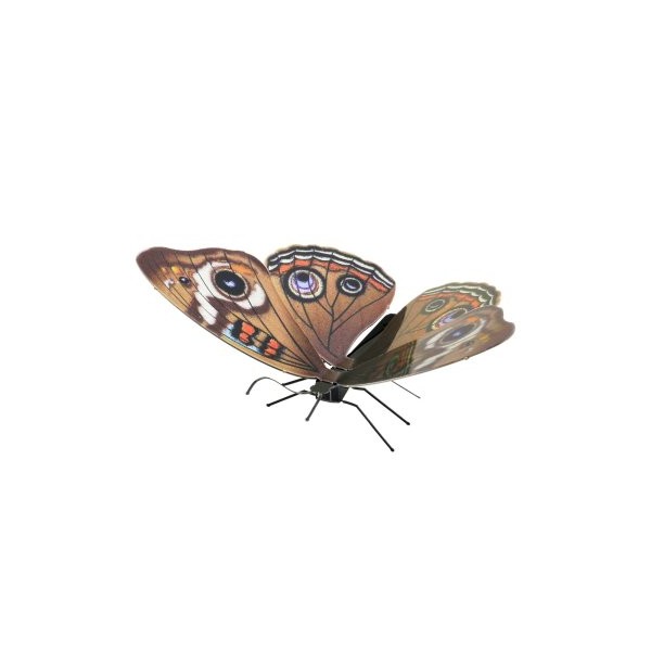MAQUETA 3D METAL FASCINATIONS MARIPOSA BUCKEYE MONTAJE SIN PEGAMENTO NI SOLDADURA