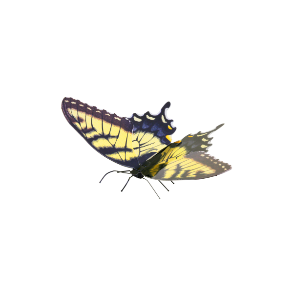 MAQUETA 3D METAL FASCINATIONS MARIPOSA TIGER SWALLOWTAIL MONTAJE SIN PEGAMENTO NI SOLDADURA