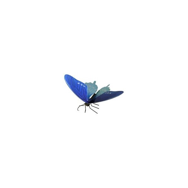 MAQUETA 3D METAL FASCINATIONS MARIPOSA PIPERVINE SWALLOWTAIL MONTAJE SIN PEGAMENTO NI SOLDADURA
