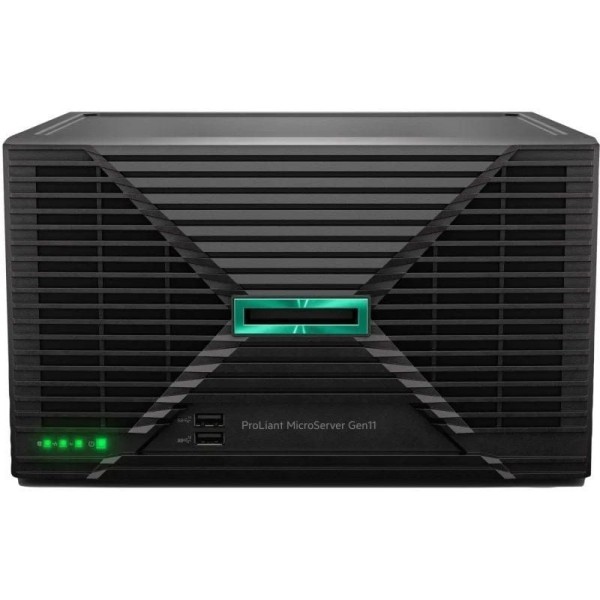 Servidor HPE ProLiant MicroServer Gen11 Intel Xeon 6325P/ 32GB Ram/ 2 x 4TB SATA