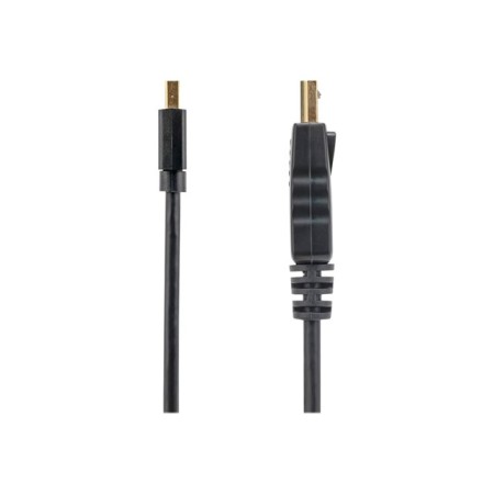 Cable mini dp a displayport startech 1.8m - macho - macho - negro