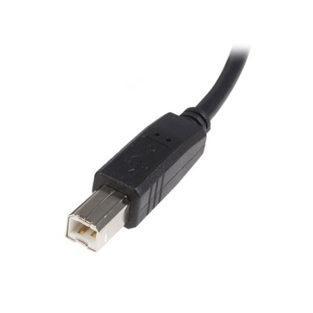 Cable usb tipo b a usb tipo a startech 2m - macho - macho - negro