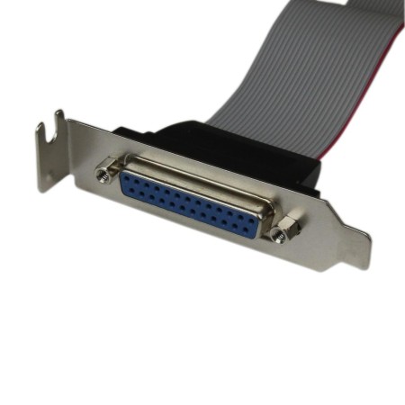 Adaptador paralelo db25 a idc26 startech 0.4m - hembra - hembra