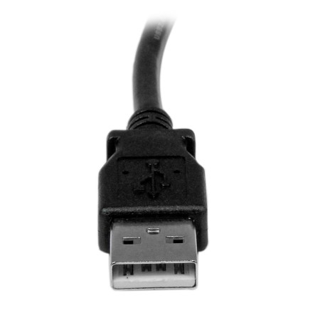 Cable usb tipo a a usb tipo b startech 2m - macho - macho - negro