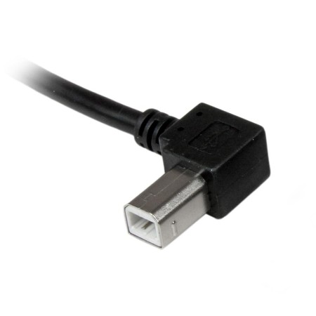 Cable usb tipo a a usb tipo b startech 2m - macho - macho - negro