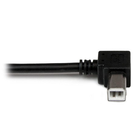 Cable usb tipo a a usb tipo b startech 2m - macho - macho - negro