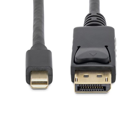 Cable mini dp a displayport startech 3m - macho - macho - negro
