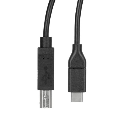 Cable usb tipo c a usb tipo b startech 0.5m - macho - macho - negro