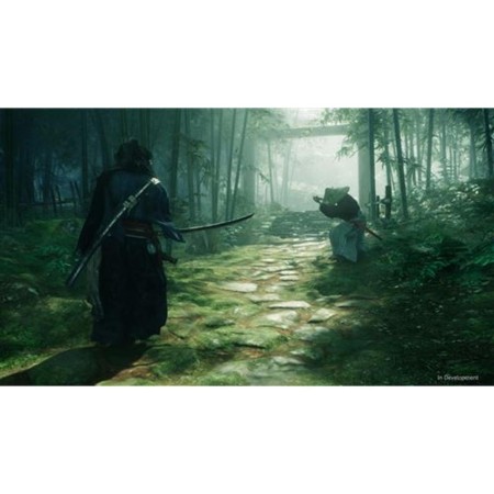 Juego ps5 - the rise of the ronin