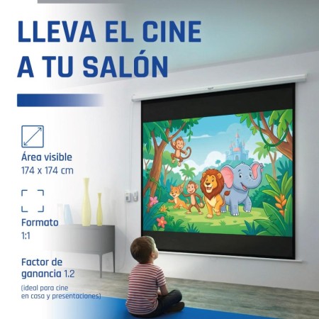 iggual Pantalla eléctrica 1:1 100″ 180x180 cm