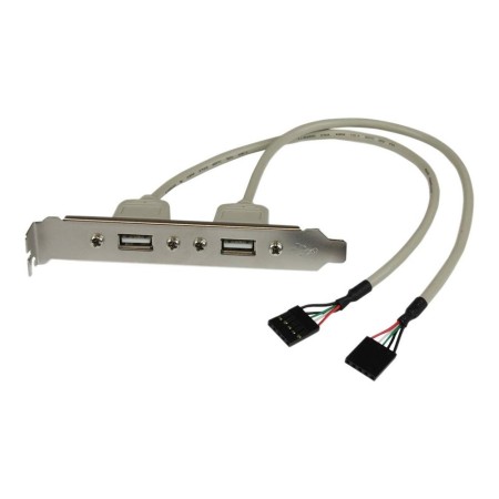 Adaptador placa  usb a h 2 puertos