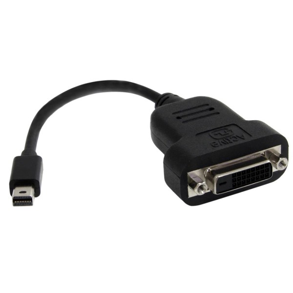 Adaptador mini dp a dvi - d startech macho - hembra -  negro