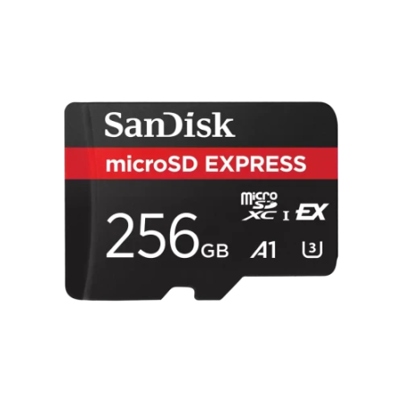 SanDisk Express 256 GB MicroSDXC UHS-I