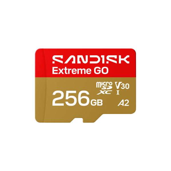 SanDisk Extreme GO 256 GB MicroSDXC UHS-I