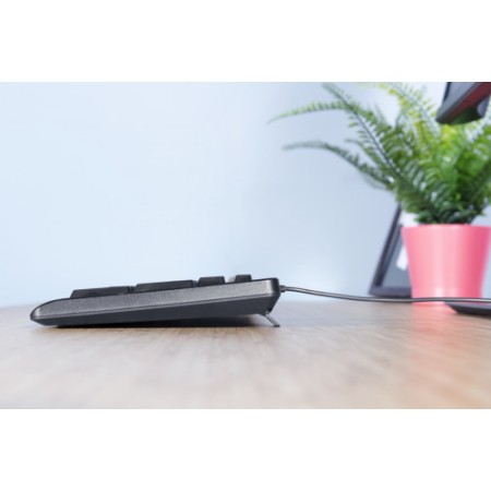 Trust Primo teclado USB QWERTY Español Negro