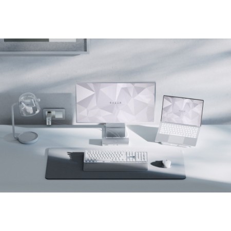 Razer Pro Glide Gris