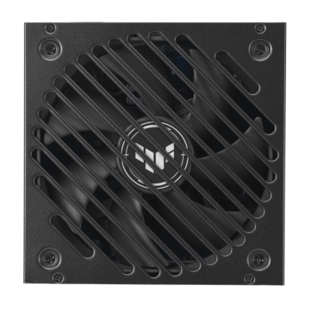 ASUS TUF Gaming 1000W Gold EVO unidad de fuente de alimentación 20+4 pin ATX ATX Negro