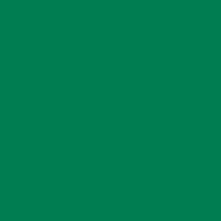 Cricut 2011602 vinilo adhesivo Permanente Verde Mate