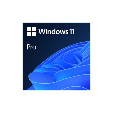 Windows 11 pro 1 licencia 64 bit todos los idiomas esd (descarga directa)