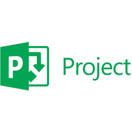 Microsoft project standard 2024 esd (descarga directa) todos los idiomas