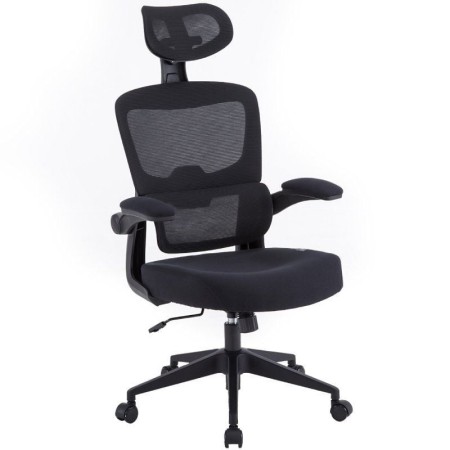 Silla Gaming Woxter Ergo/ Negro